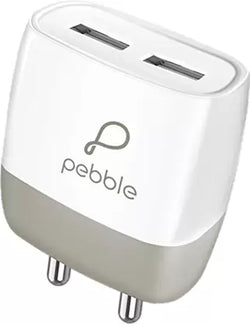 Pebble PWC22A Charger