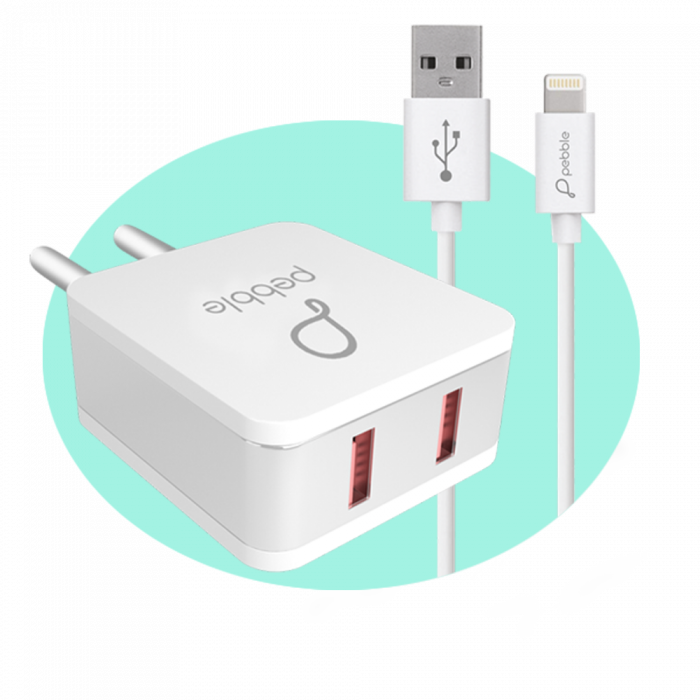 Pebble PWC22 Wall Charger